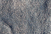 Utopia Planitia Survey