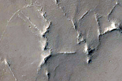 Eastern Arabia Terra