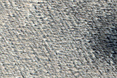 Candidate Recent Impact Site