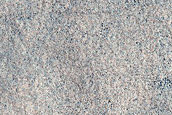 Utopia Planitia Survey