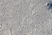 Candidate Recent Impact Site