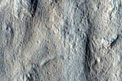 Utopia Planitia Survey