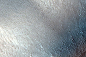 Possible Gully Associated Light-Toned Materials near Acidalia Planitia