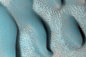 Dune Monitoring in Crater