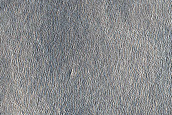 Arcadia Planitia Survey
