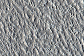 Arcadia Planitia
