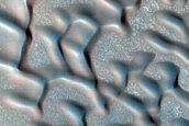 Dune Field Monitoring