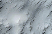 Southern Mid-Latitude Terrain