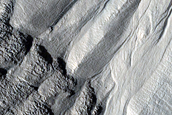 Gully Monitoring