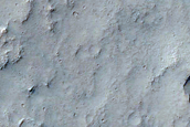 Chloride-Rich Plains