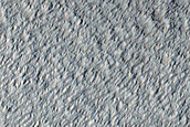 Candidate Recent Impact Site