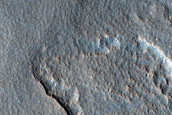 Arcadia Planitia Survey