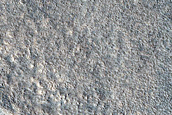 Utopia Planitia Survey