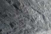 Gully Monitoring