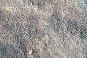 Protonilus Mensae Survey