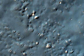 Bright Exposures in Northeast Thaumasia Region