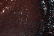 Terrain Sample