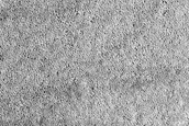 Utopia Planitia Survey