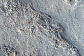 Utopia Planitia Survey