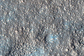 Arcadia Planitia Survey
