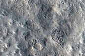 Utopia Planitia Survey