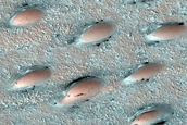 North Polar Duneforms and Frost