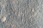 Contact in Utopia Planitia