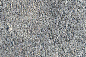 Arcadia Planitia Survey