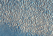 Impact Monitoring in Arcadia Planitia