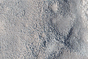 Utopia Planitia Survey