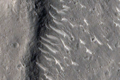 Curvilinear Ridges in Isidis Planitia