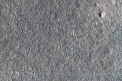 Arcadia Planitia Survey