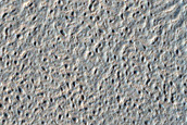 Northern Mid-Latitude Terrain