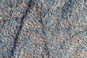 Utopia Planitia Survey