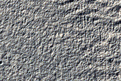 Gullies in Glacier Filled Crater