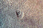 Gully Monitoring