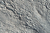 Gullies and Albedo Contacts in Nier Crater