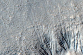 Gully Monitoring