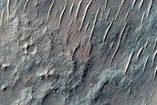 Southern Mid-Latitude Terrain