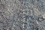 Terrain Sample