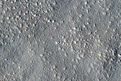 Arcadia Planitia Survey