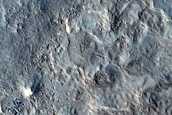 Utopia Planitia Survey