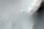 Terrain Sample