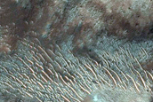 Northern Terra Cimmeria