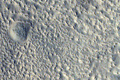 Utopia Planitia Survey