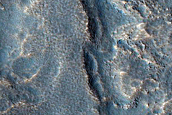 Utopia Planitia Survey