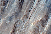 Gully Monitoring