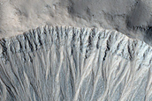 Gully Monitoring