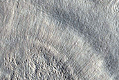 Utopia Planitia Survey