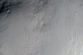 Well-Preserve 4-Kilometer Impact Crater